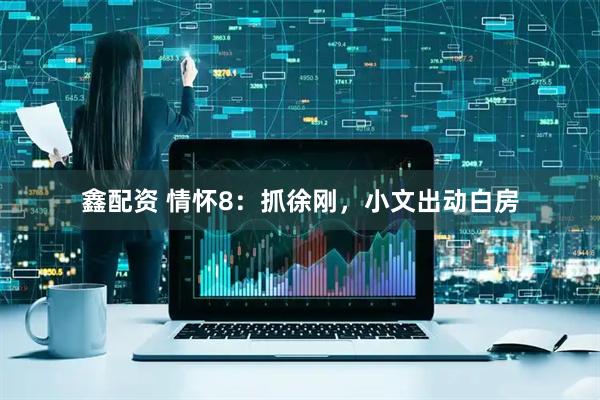 鑫配资 情怀8：抓徐刚，小文出动白房
